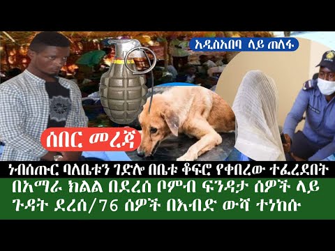 ቪዲዮ: ለአገልግሎት ውሾች ገንዘብ ለማሰባሰብ Pup መቅዘፊያ ሰሌዳዎች 150 ማይልስ