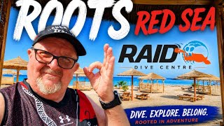 Red Sea SCUBA Diving Resort 🇪🇬 Roots Red Sea Review + Liveaboard, Safaga & Freediving experience