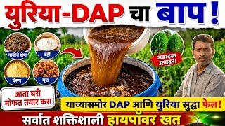 शेतकऱ्यांसाठी रामबाण उपाय! फक्त 4 गोष्टींनी तयार करा युरिया-DAP पेक्षा शक्तिशाली खत, हायपॉवर खत