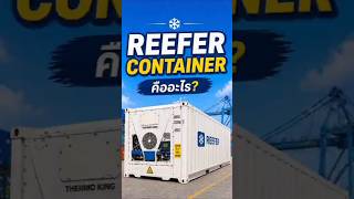 Reefer Container คืออะไร? ❄️ #importexport #freight#logistics #reefercontainer