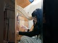 ❤️ KRYDIOM ❤️ (Harp Cover) #celticharp #harp #music #mycomposition #enricamerlocelticlyre #musica