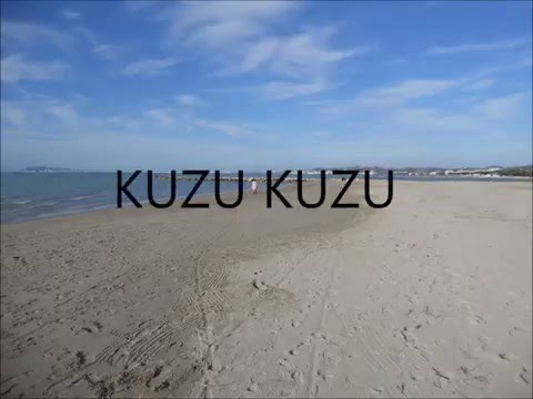 Kuzu Kuzu-Tarkan (Lyrics)