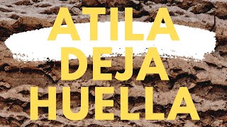 Atila deja huella