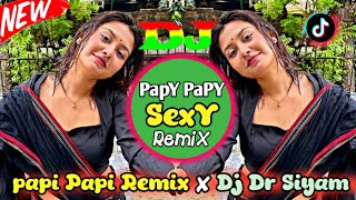 Dj Fizo - Papi Papi Remix - Dj Drop Mix - Dj Dr Siyam - Dj Fizo Faouez 2024 - Dj Remix - Dj Gan - Dj