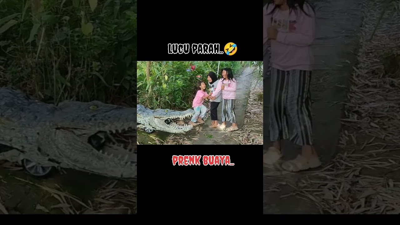 prenk buaya.!! 😂🤣