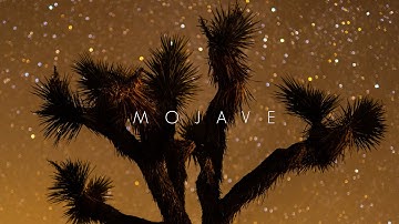 Mojave | Panasonic S1H