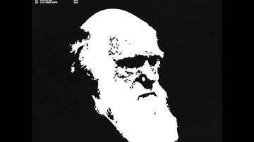 AS1 - Within Me (Transient Force)