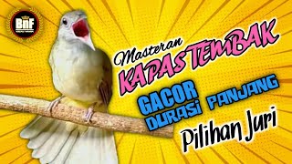 ✅ MASTERAN BURUNG KAPAS TEMBAK GACOR,BIKIN JURI TERPESONA !!!