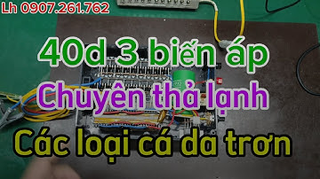 40d 3 biến áp. Chuyên thả lạnh các loại cá da trơn. Lh 0907.261.762