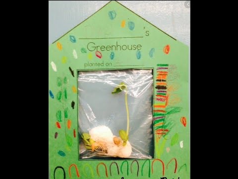 SCIENCE- GREENHOUSES Woodside Montessori ACADEMY E-LEARNING 2020