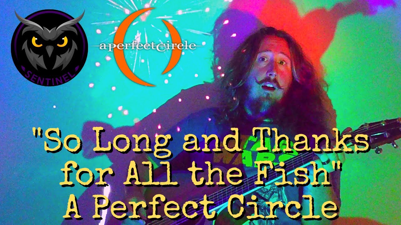 So Long and Thanks for All the Fish (A Perfect Circle Cover) - Sentinel
