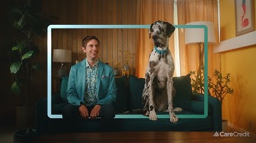 I Can Find True Love | Flexible Veterinary Financing from CareCredit