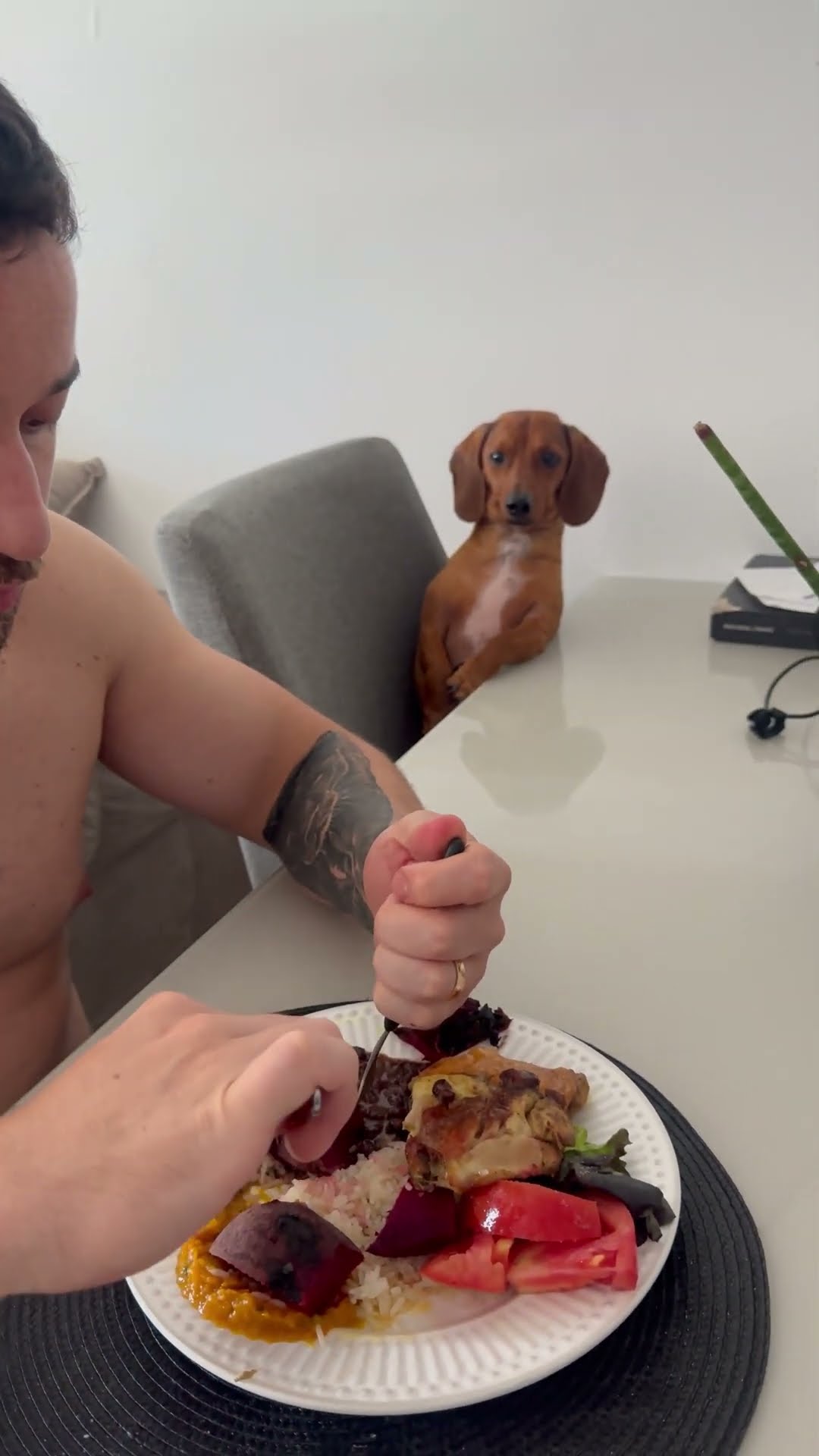 What Could This Dog Possibly Want? || ViralHog
