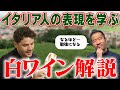 直伝！イタリアワインの魅力を徹底解説。観ればもっと美味しくなること間違いなし！