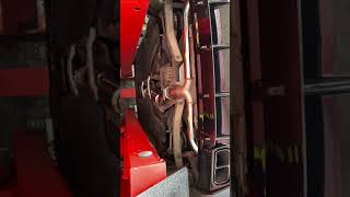 IMG 3818