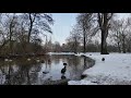 تقاسيم عود على أنغام ماجدة الرومي شتاء أمستردام تصوير وعزف يزن الشامي Snowy Amsterdam 