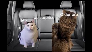 CAts meme LIKE FOR PART TWO!