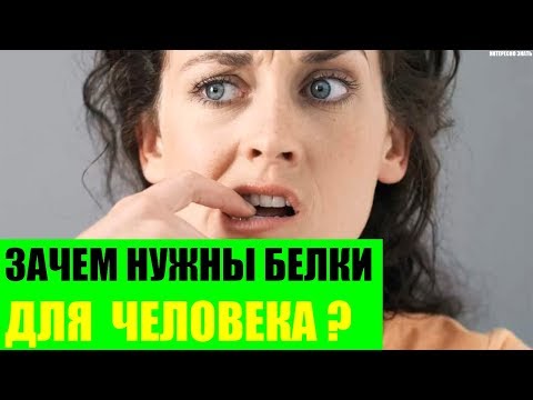 Зачем нужны белки для организма человека?