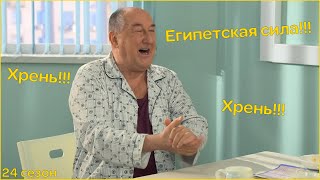 Воронины "Хрень" и "Египетская сила"|24 сезон!