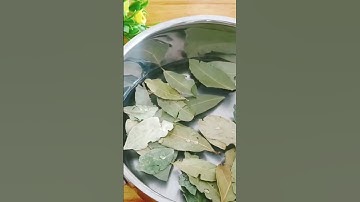 Nấu lá nguyệt quế, phương thuốc tự nhiên để chữa đau xương và khớp #xuhuong #shortsvideo #review