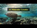 11 Molecular Genetics #biology #molecularbiology