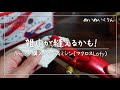 このハンドミシンなら雑巾が縫えるかも！！【マクロス MEH-74 小型電動ハンドミシン Lafy / ラフィ】おもちゃのミシン Handy sewing machine