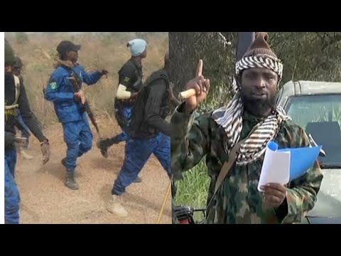 Rigima Sabuwa: Wasu Matasa Sun Shiga Dajin Sambisa Don Yakar Shekau