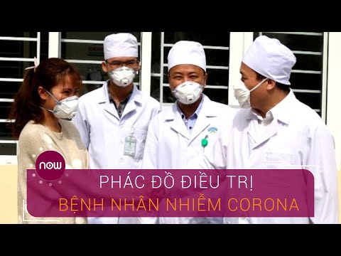 Video: Bệnh Do Vi Rút Phlox