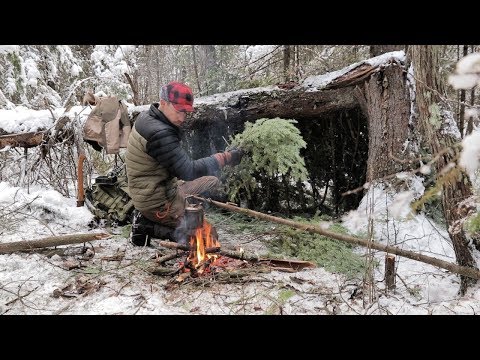 ვიდეო: საინტერესო ხელნაკეთობები ბუნებრივი მასალისგან ზამთრის თემაზე