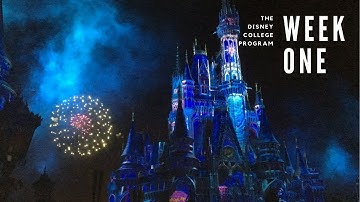 DCP Week One!