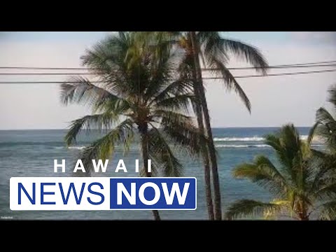 Authorities responding to apparent shark bite off Oahu’s North Shore