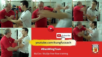 Biu-Tze (Biu-Dje) free flow training - Wing Tsun Kung Fu