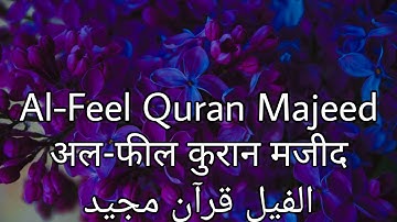 सुरह फील  | سورة الفيل | Surah Al feel | 105 | Urdu Translation |  Hindi Translation | Quran Majeed