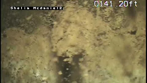 Well Video - Shelia McDaniel (2 of 2)