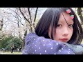 桜、今年も断らなかったんですね。