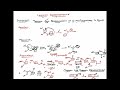 Chapman Rearrangement 