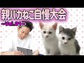 【ふうらい企画】池崎親バカ猫自慢大会〜Vol.01〜
