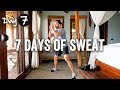 Day 7 | 7 Days of Sweat Challenge 2020 | The Body Coach