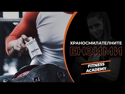 Как да подпомогнем храносмилането с помощта на храносмилателните ензими? | GymBeam | Fitness Academy