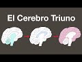 El Cerebro Triuno