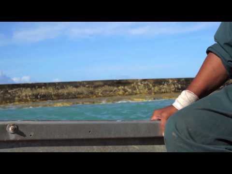 PACC Cook Islands Vital Harbour