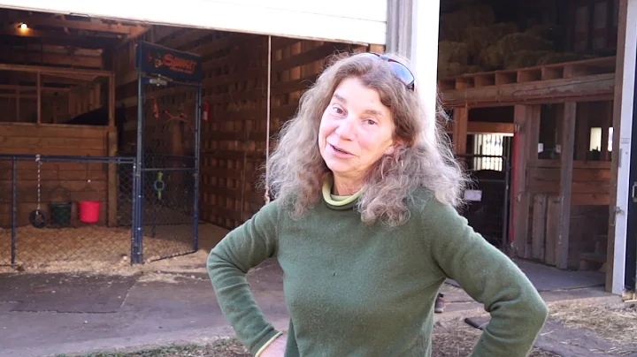 Elizabeth Wegmann Part 2- Horse Helpers