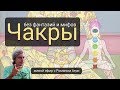 Чакры Без фантазий и мифов Роман Атри