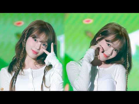 241001 오마이걸 승희 (Seunghee) "Classified, 던던댄스, 돌핀, 살짝 설렜어" 본무대4곡 직캠(Fancam) @DB손해보험 환경콘서트-썸네일