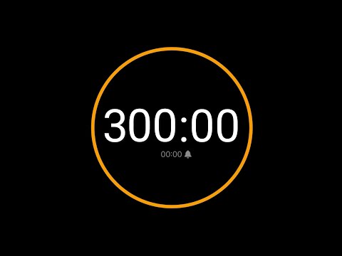 300 Minute Timer With Alarm 