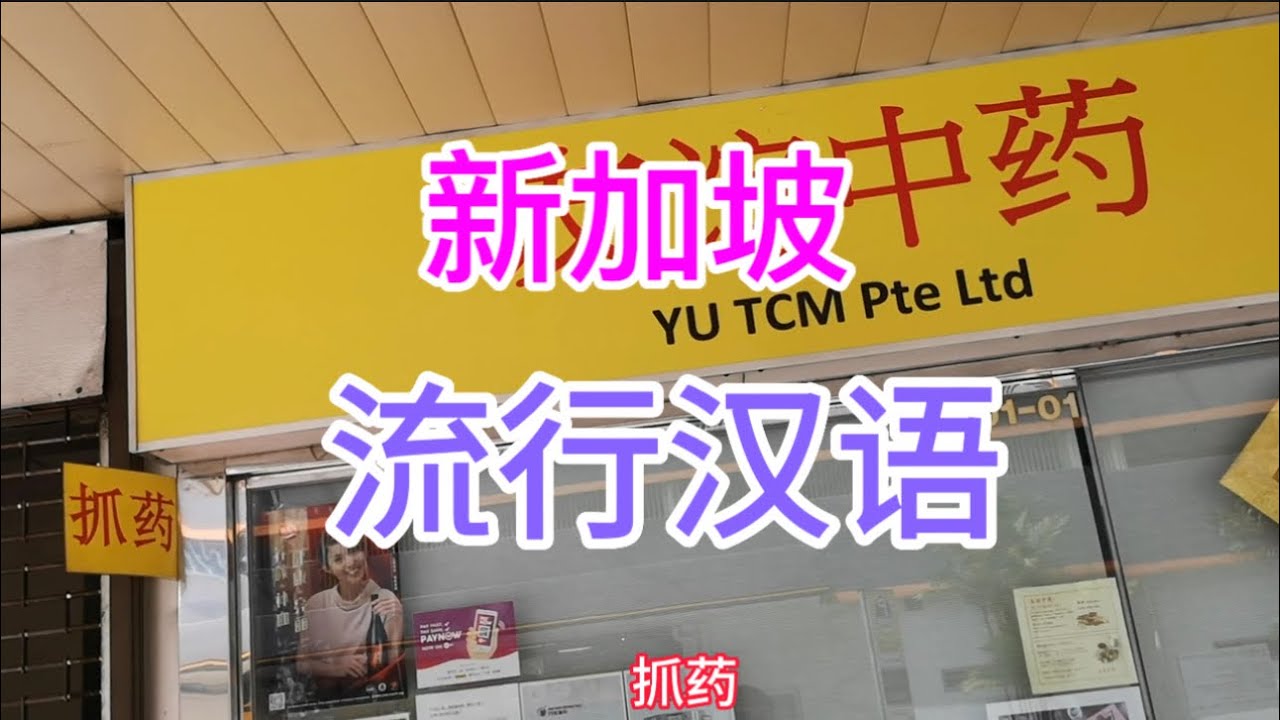 新加坡现在流行普通话,到处都看到听到汉语,环球旅行82国,首次发现政府部门都有人说普通话 - YouTube