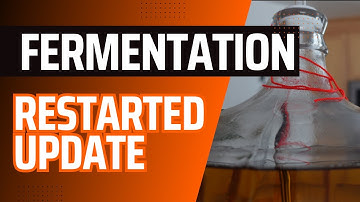 UPDATE: How I Finally Fixed My Stuck Fermentation (It Worked!)