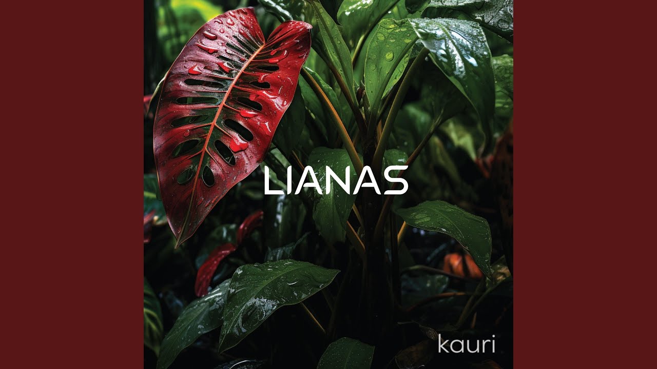 Watch Kauri (Noise) on YouTube Watch Kauri (Noise) on YouTube