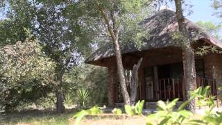 Gomo Gomo Game Lodge