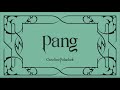 Miniature de la vidéo de la chanson Pang